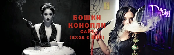 мдпв Няндома