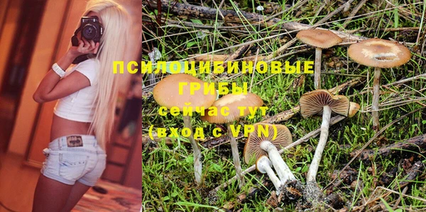 мескалин Нязепетровск
