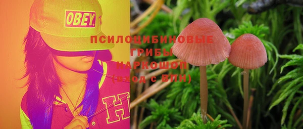 ALPHA-PVP Новозыбков